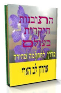 התובנות היקרות בעולם